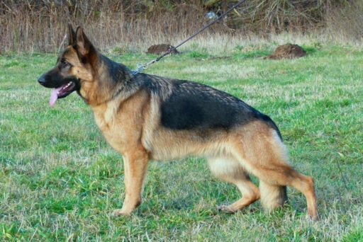 Debby vom Team Panoniansee